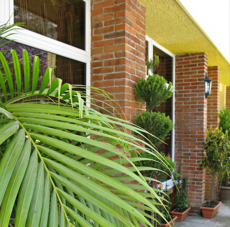 Antigua Inn Hotel Gwatemala Zewnętrze zdjęcie